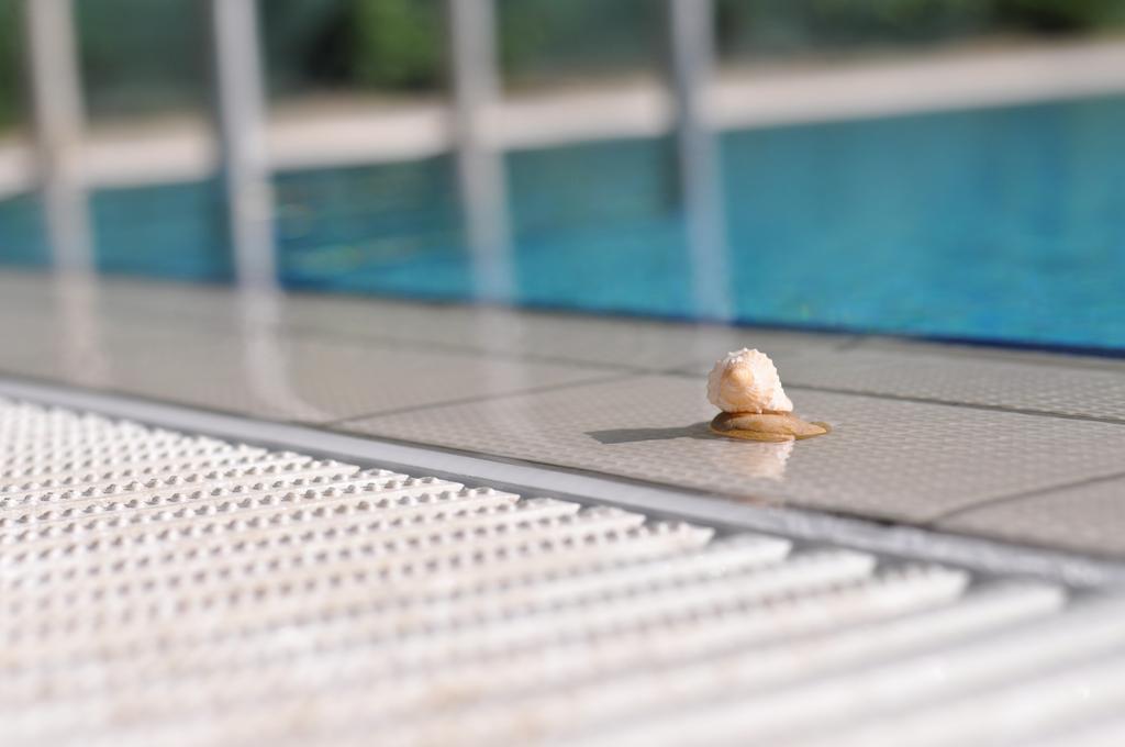 Aqua Wellness Apartments Hajdúszoboszló 객실 사진